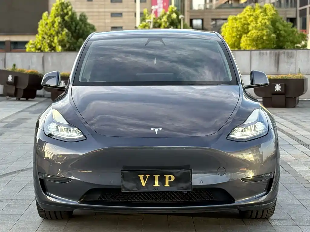Tesla Model Y — фото 2