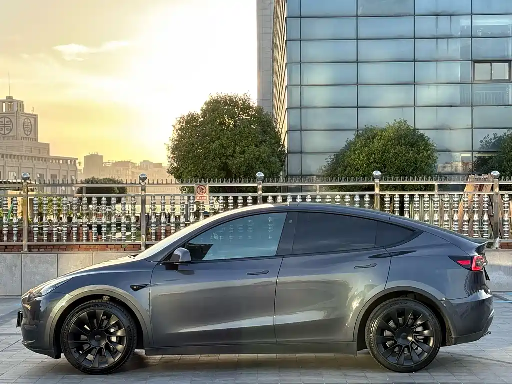 Tesla Model Y — фото 3