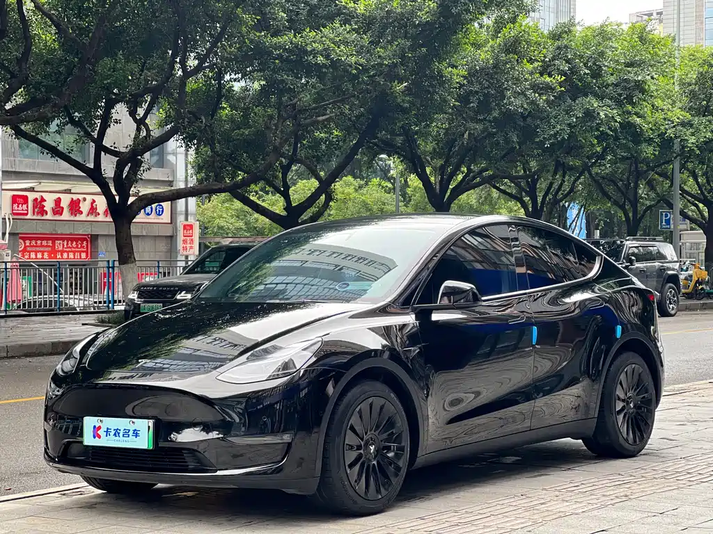 Tesla Model Y — фото 2