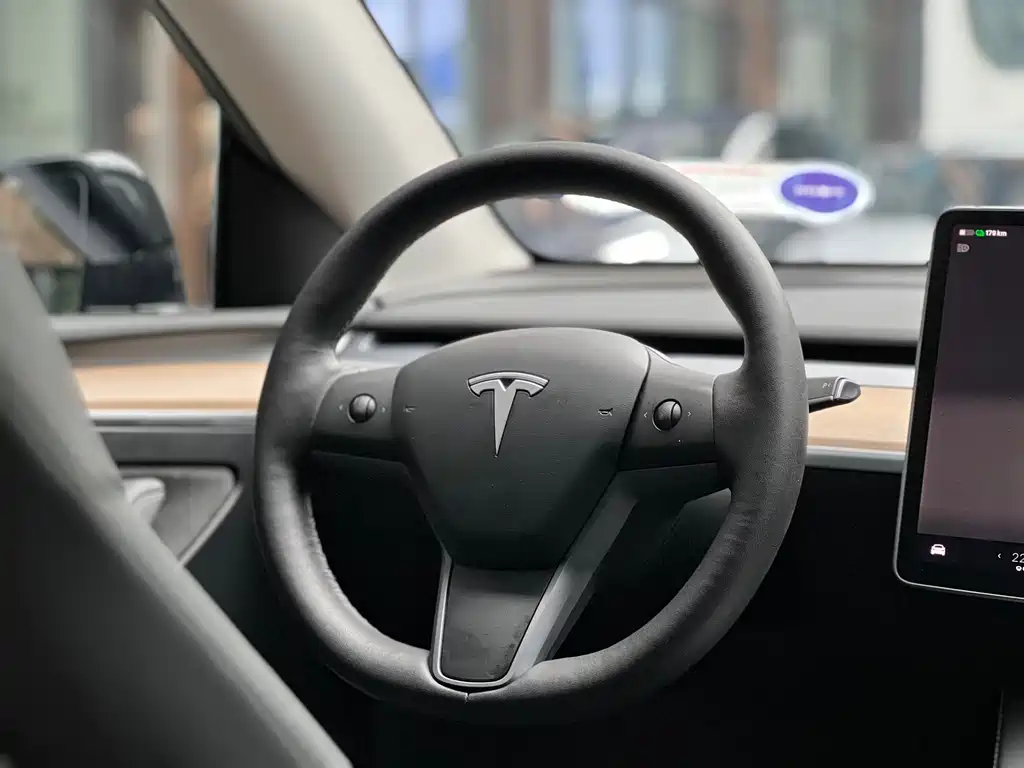 Tesla Model Y — фото 5