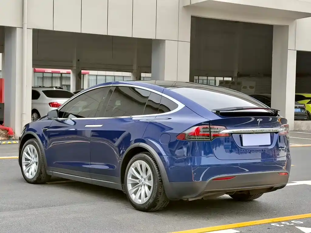 Tesla Model X — фото 5