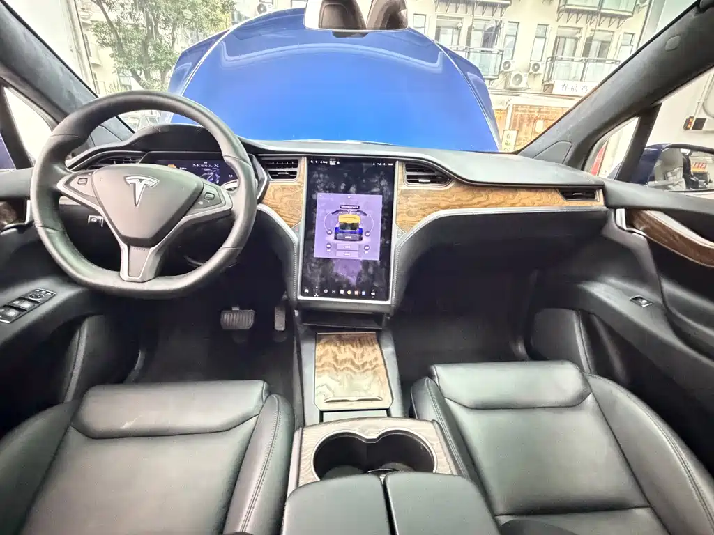 Tesla Model X — фото 9