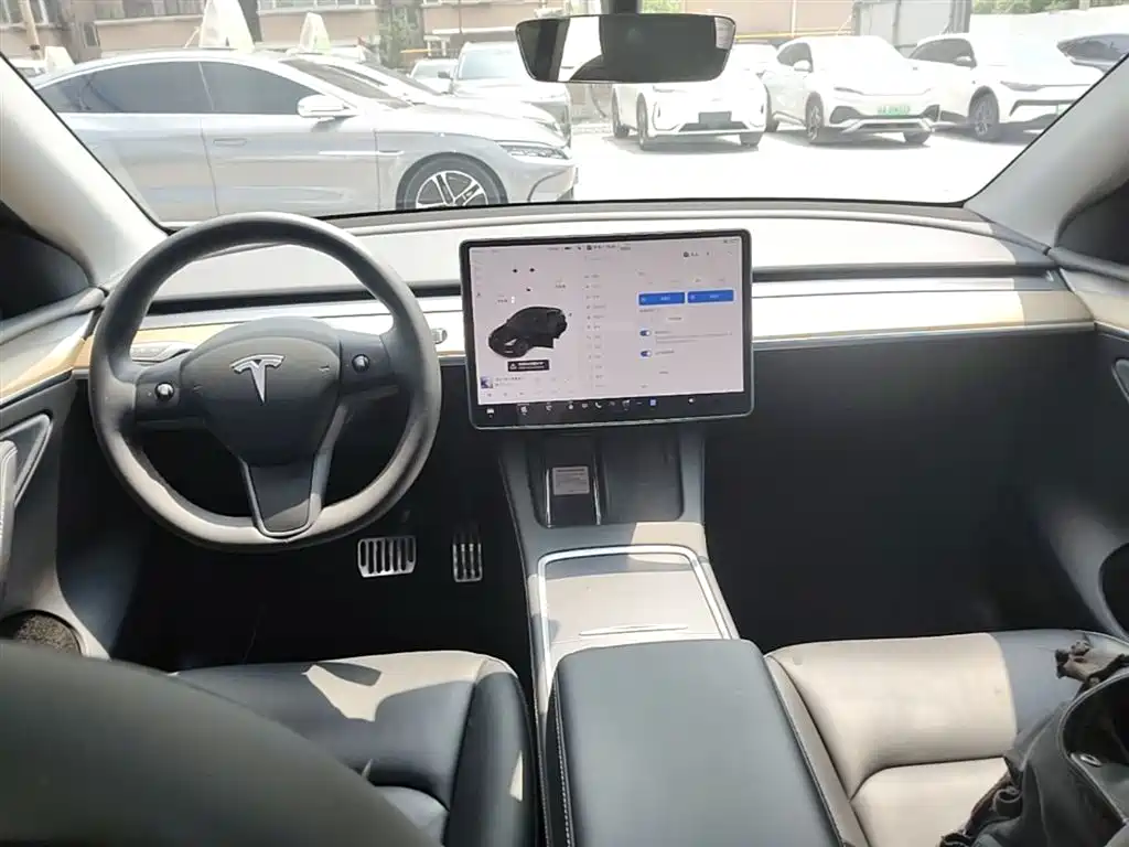 Tesla Model Y — фото 10