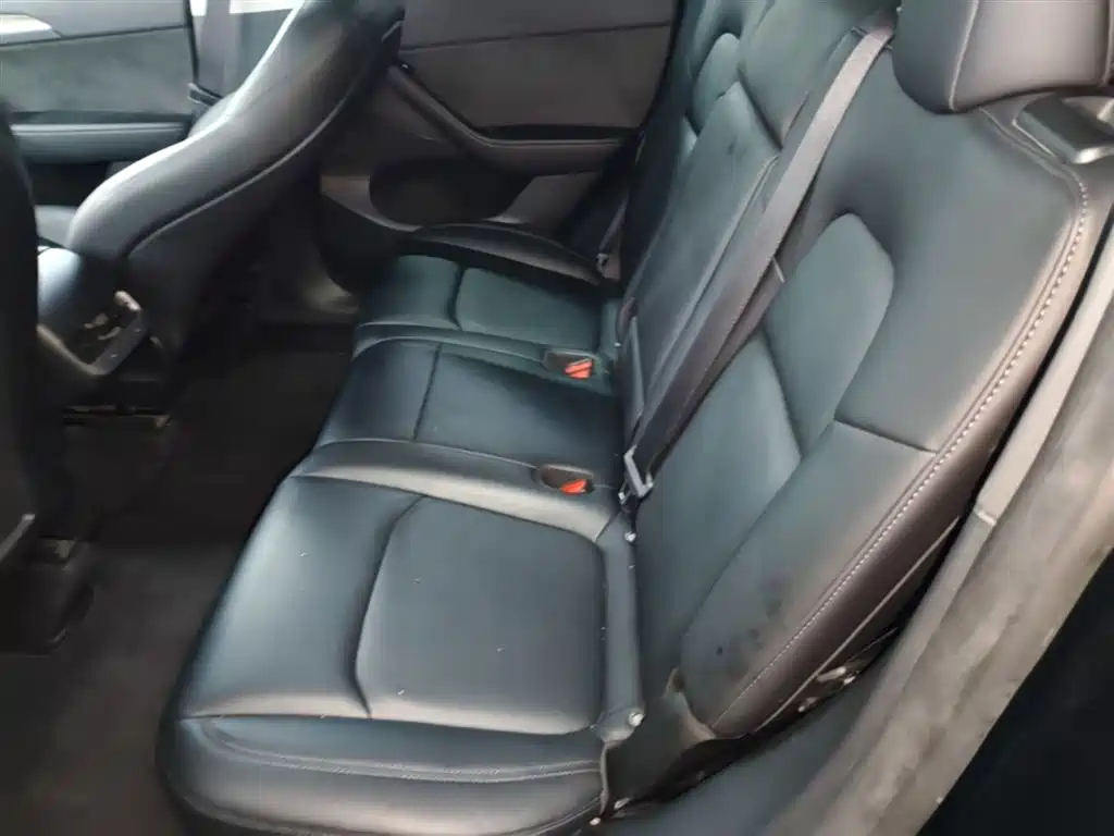 Tesla Model Y — фото 17