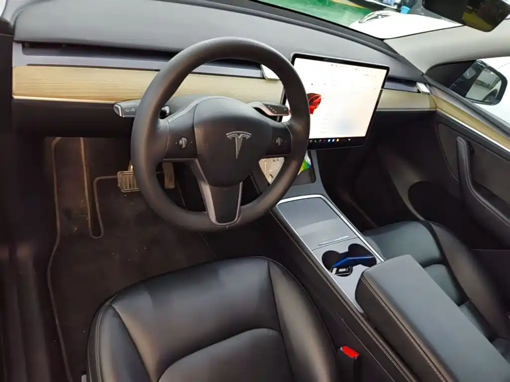 Tesla Model Y — фото 10