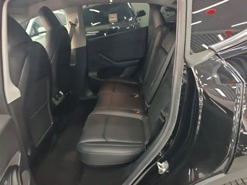 Tesla Model Y — фото 17