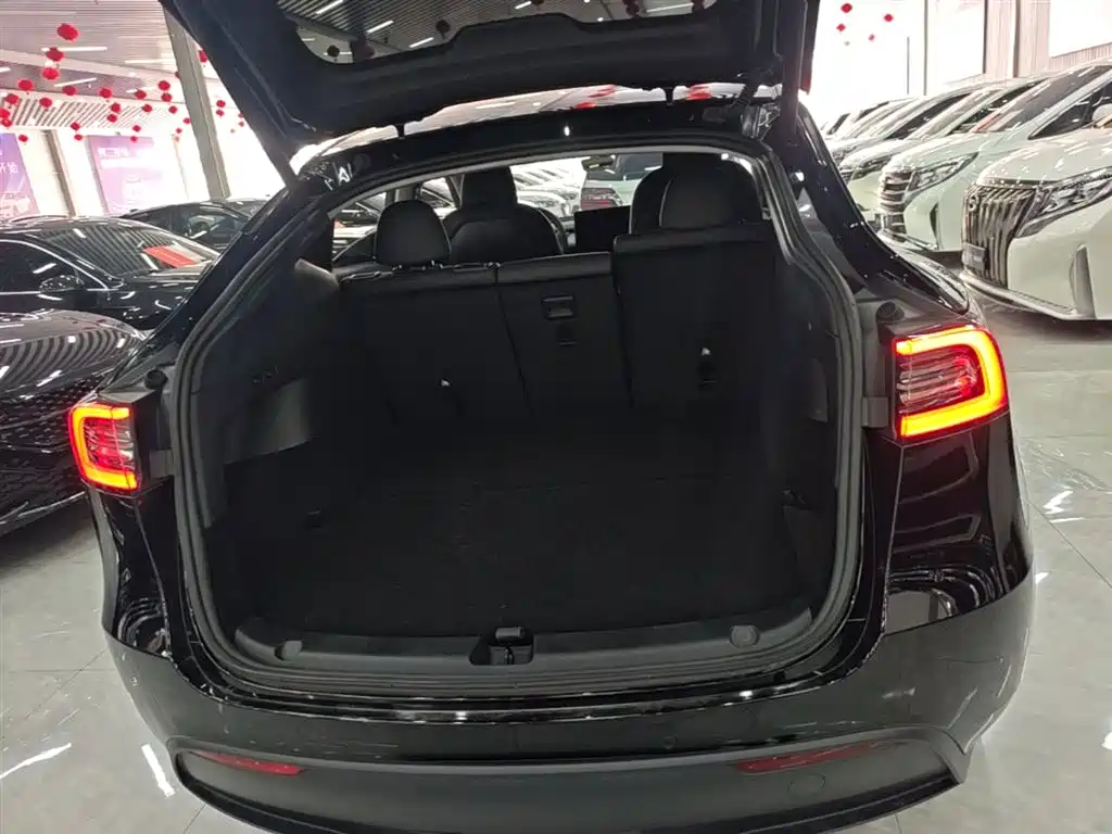 Tesla Model Y — фото 19