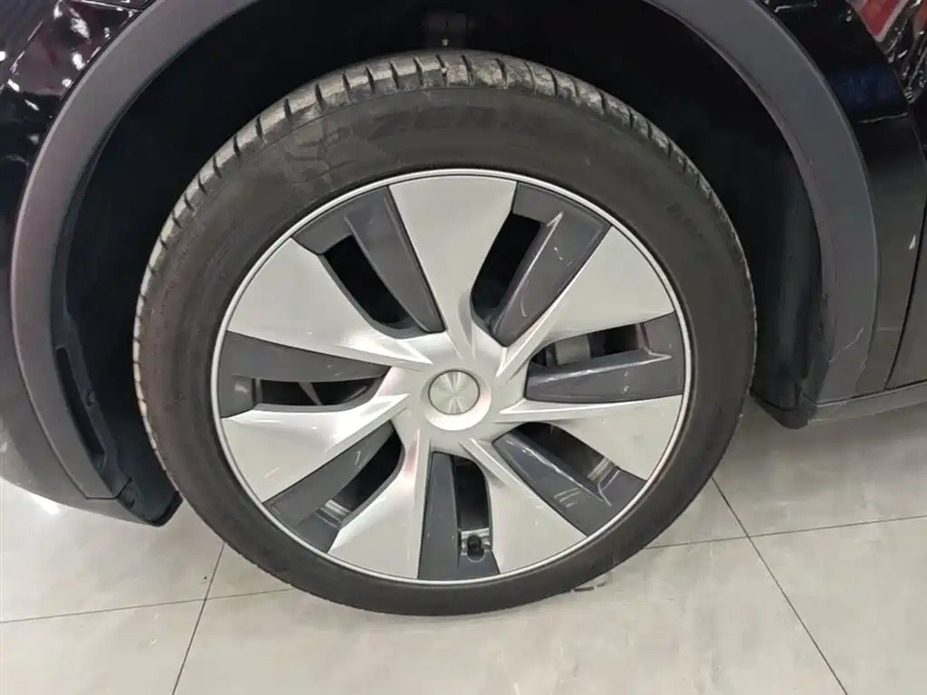 Tesla Model Y — фото 23