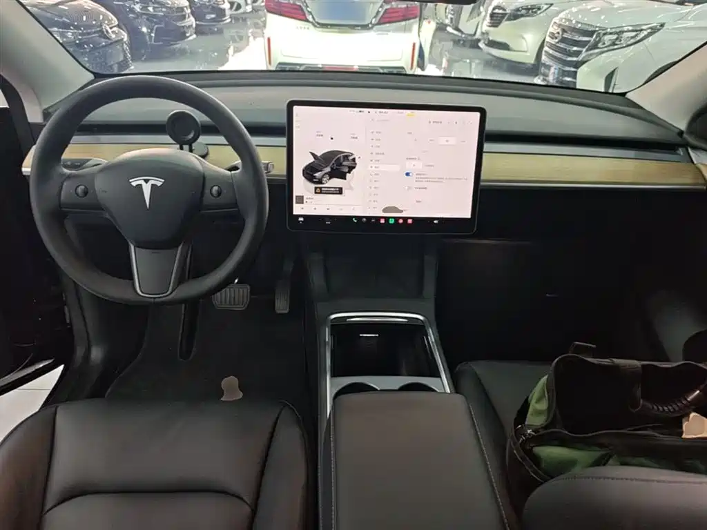 Tesla Model Y — фото 10