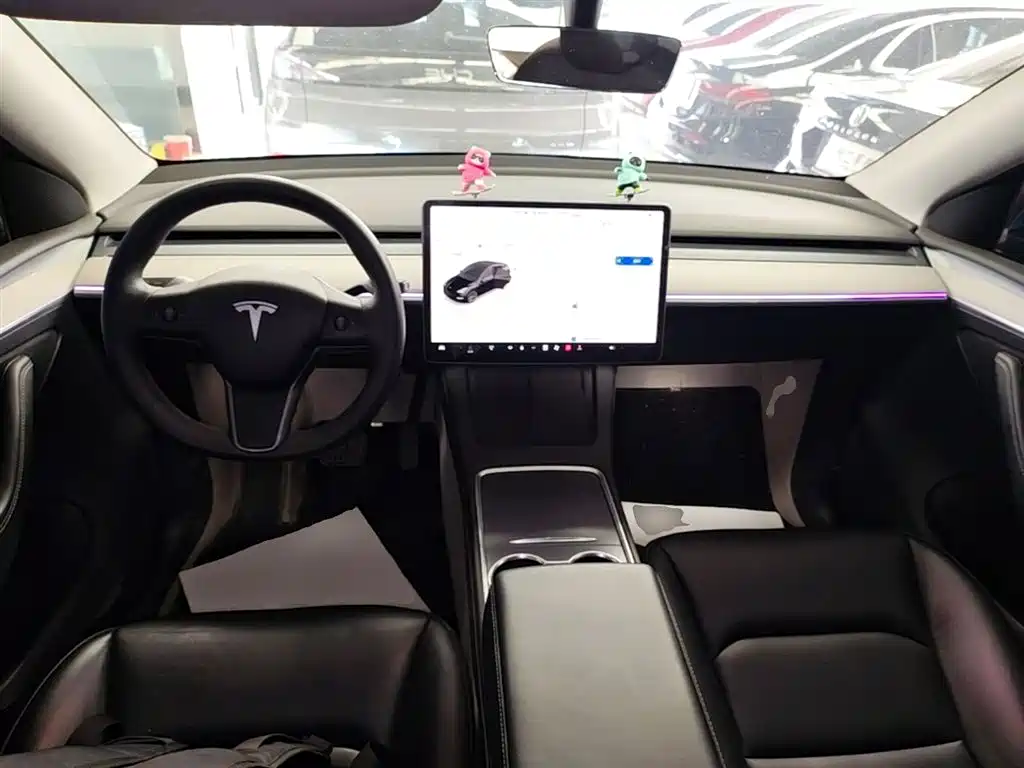 Tesla Model Y — фото 10