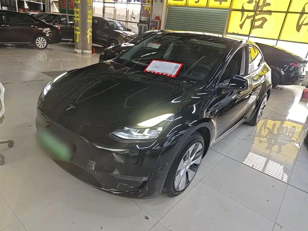 Tesla Model Y — фото 2