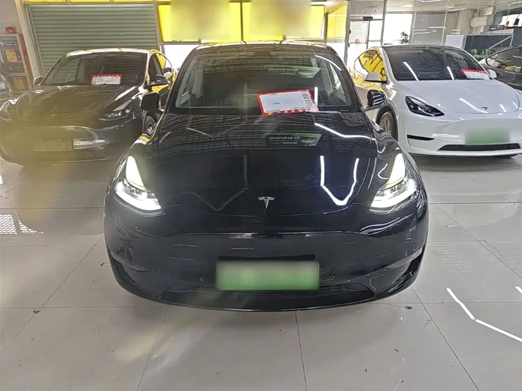 Tesla Model Y — фото 3