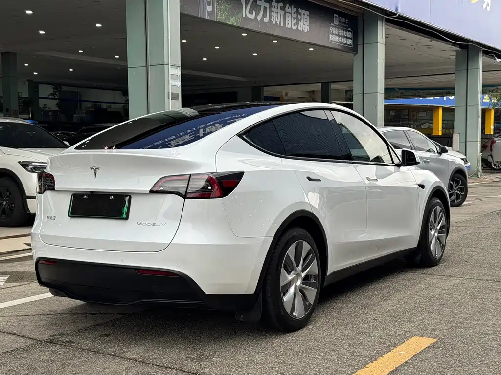 Tesla Model Y — фото 17