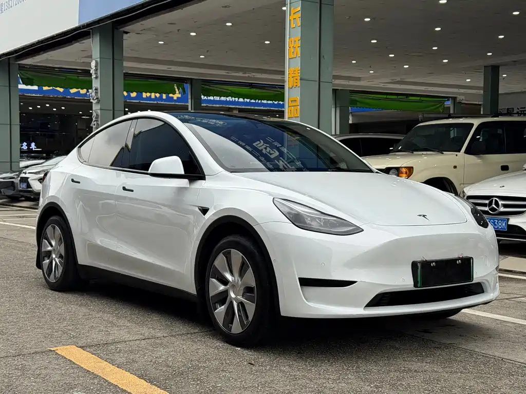 Tesla Model Y — фото 3