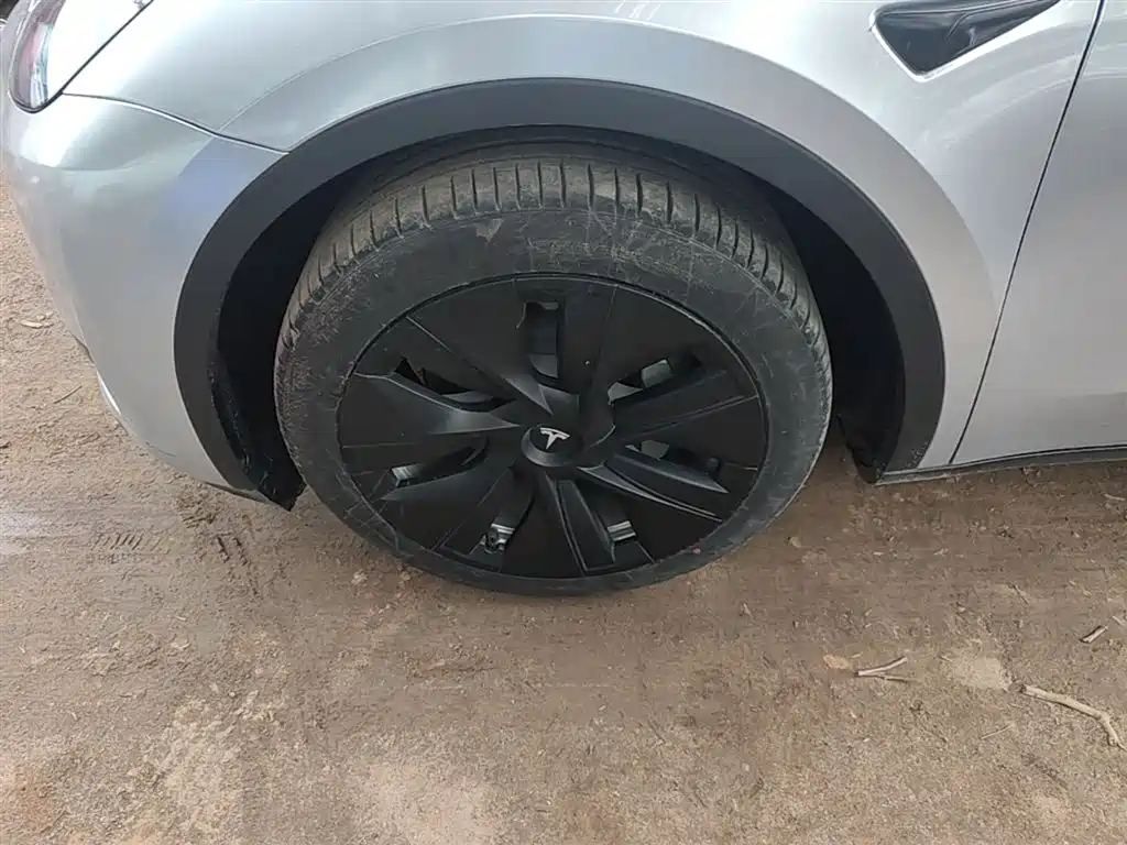 Tesla Model Y — фото 23