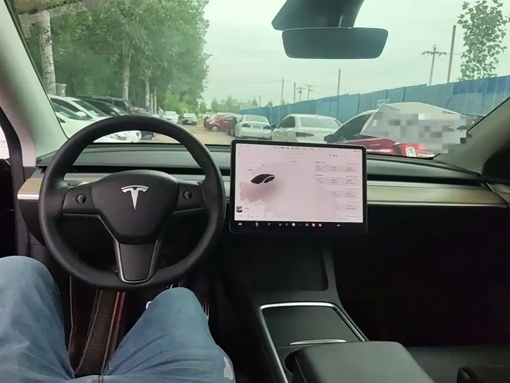 Tesla Model Y — фото 10