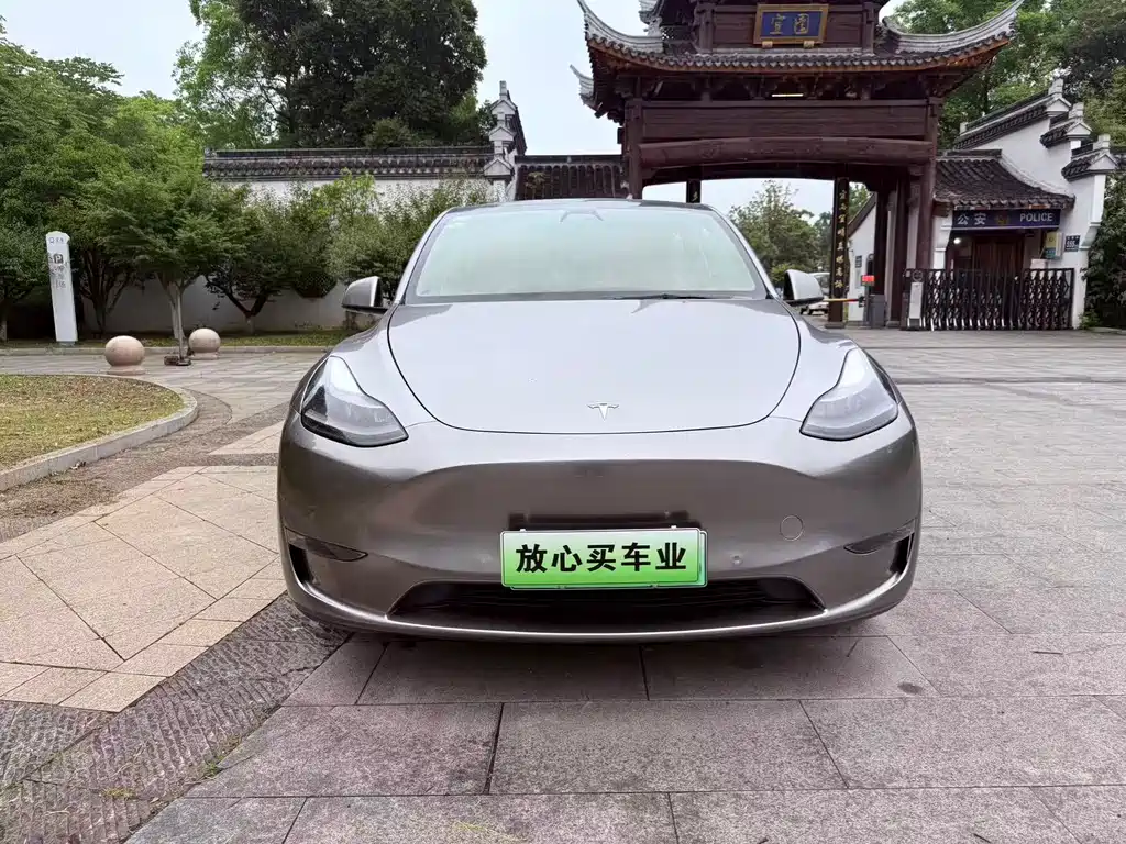 Tesla Model Y — фото 2