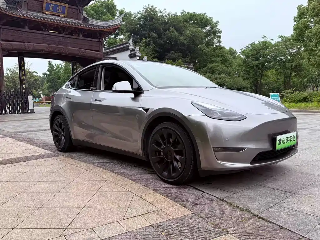 Tesla Model Y — фото 3