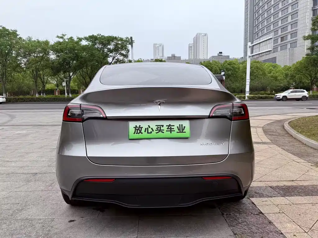 Tesla Model Y — фото 8