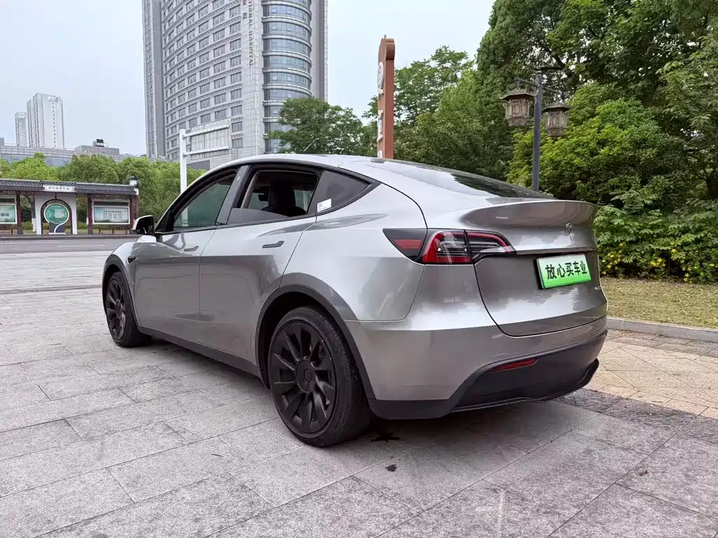 Tesla Model Y — фото 9