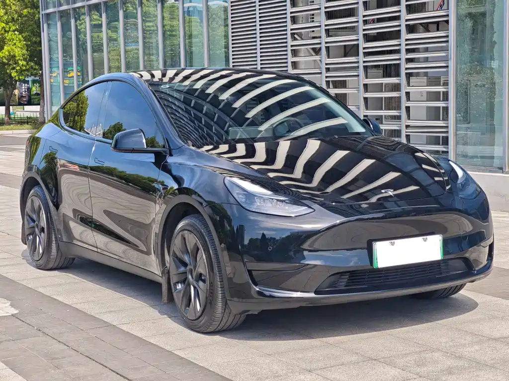 Tesla Model Y — фото 3