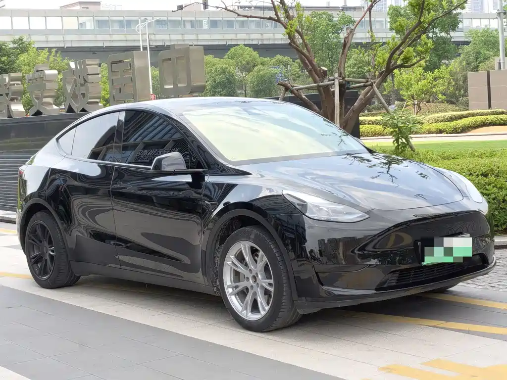 Tesla Model Y — фото 2