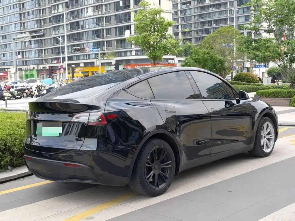 Tesla Model Y — фото 10