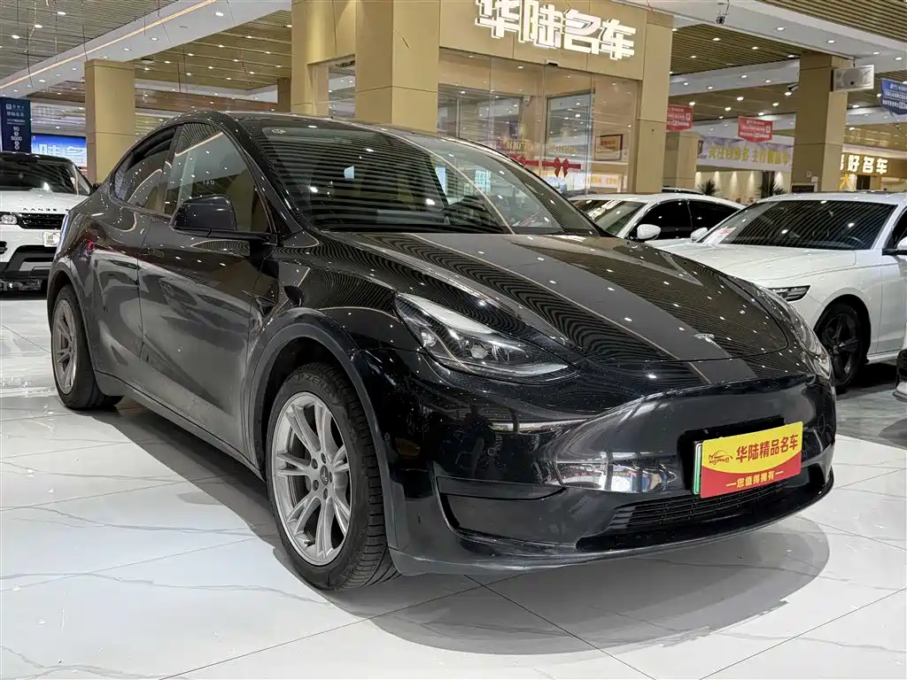 Tesla Model Y — фото 3