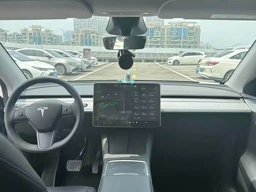 Tesla Model Y — фото 9