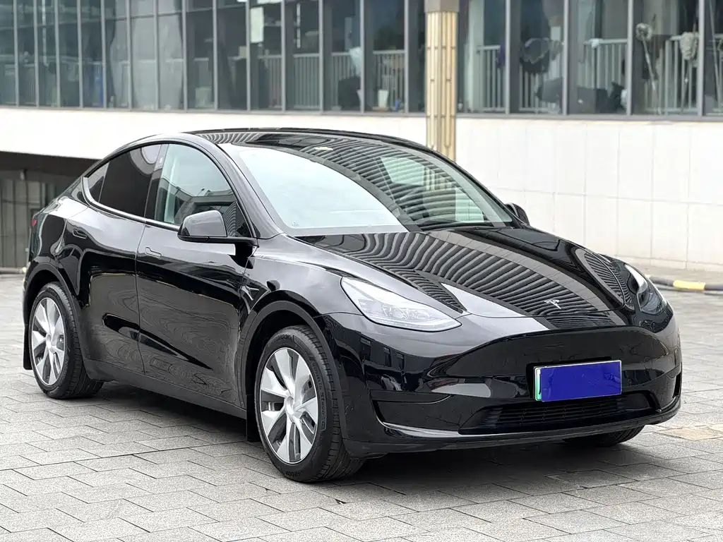 Tesla Model Y — фото 3
