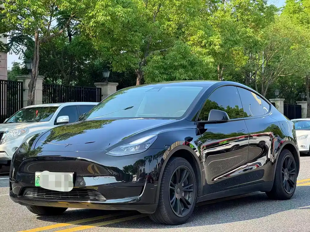 Tesla Model Y — фото 3