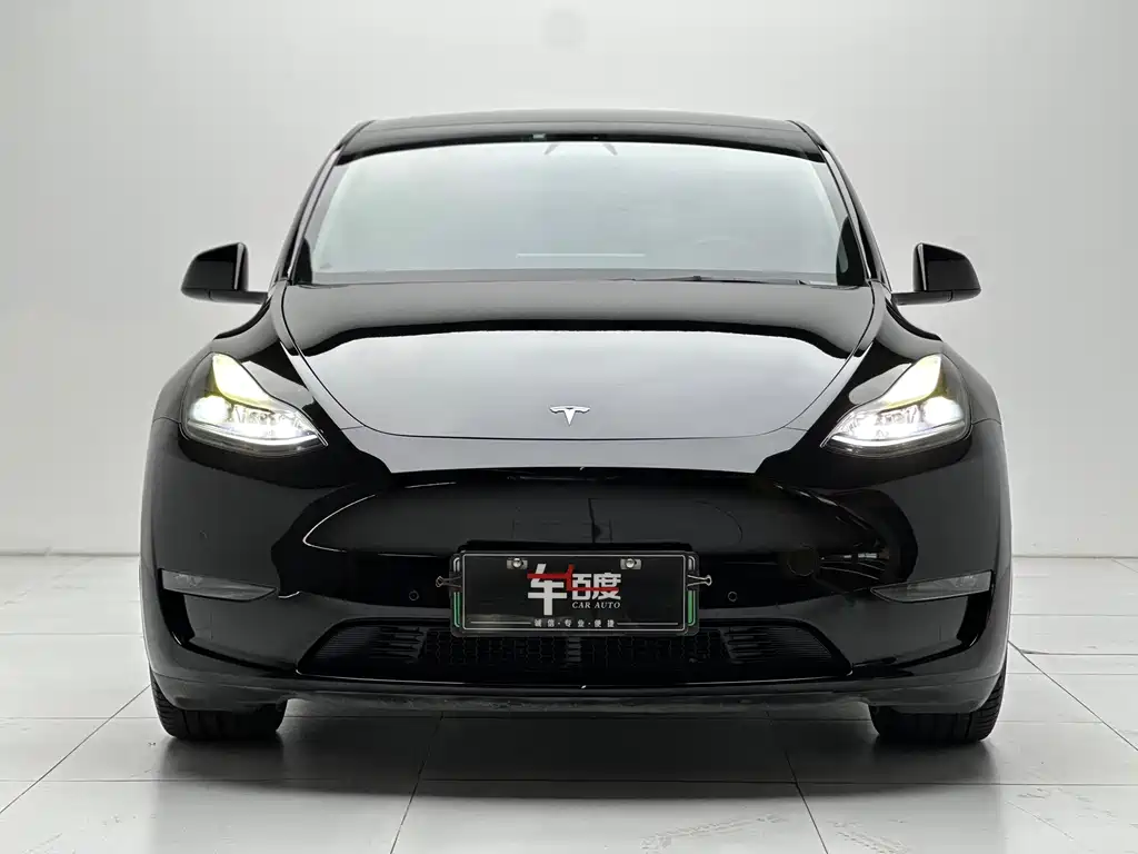 Tesla Model Y — фото 2