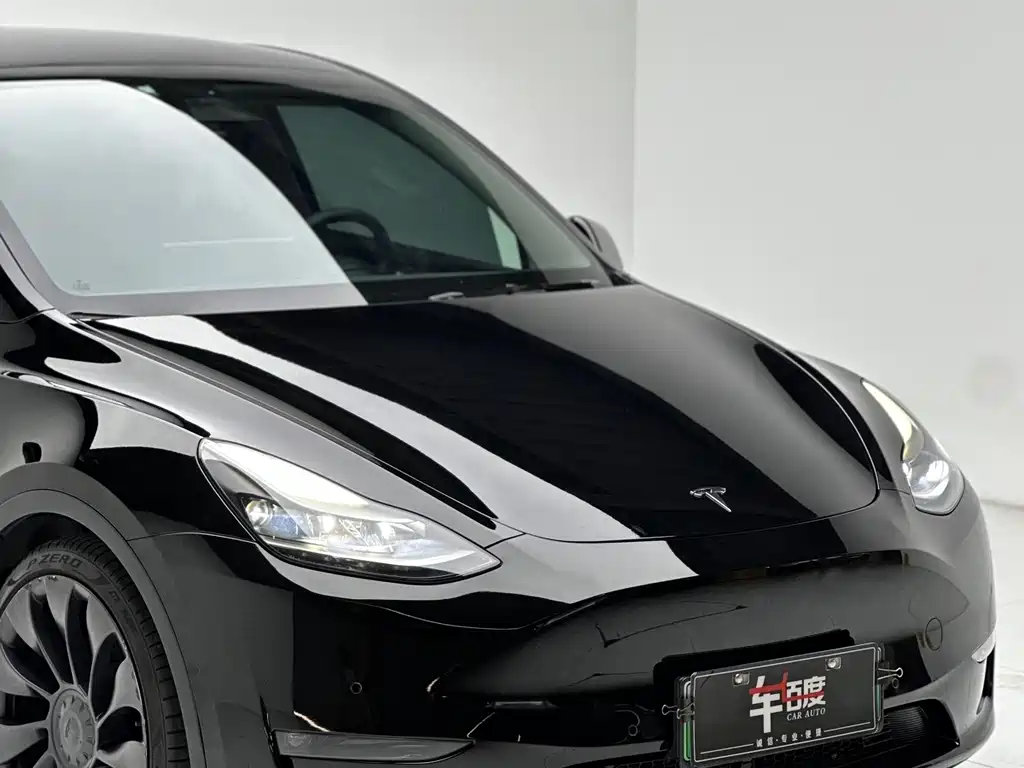 Tesla Model Y — фото 11