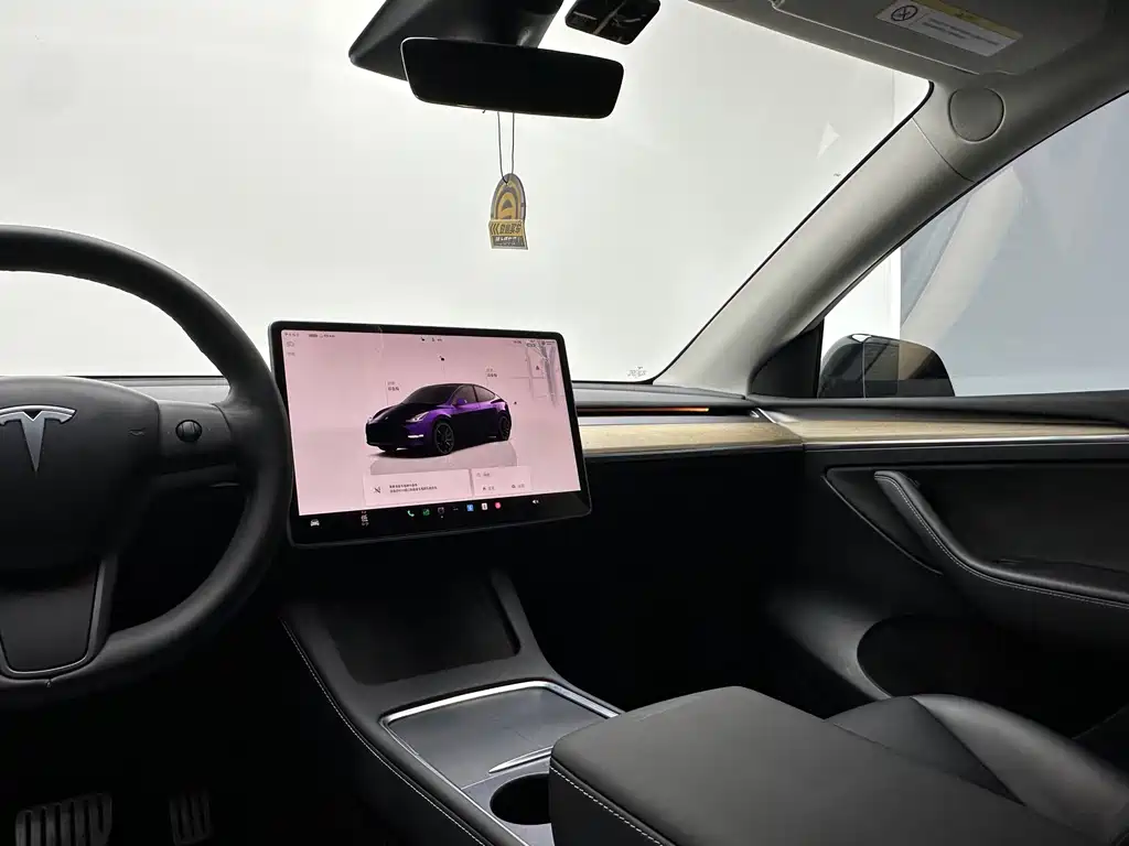 Tesla Model Y — фото 15