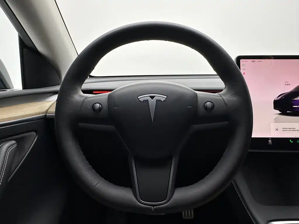 Tesla Model Y — фото 19