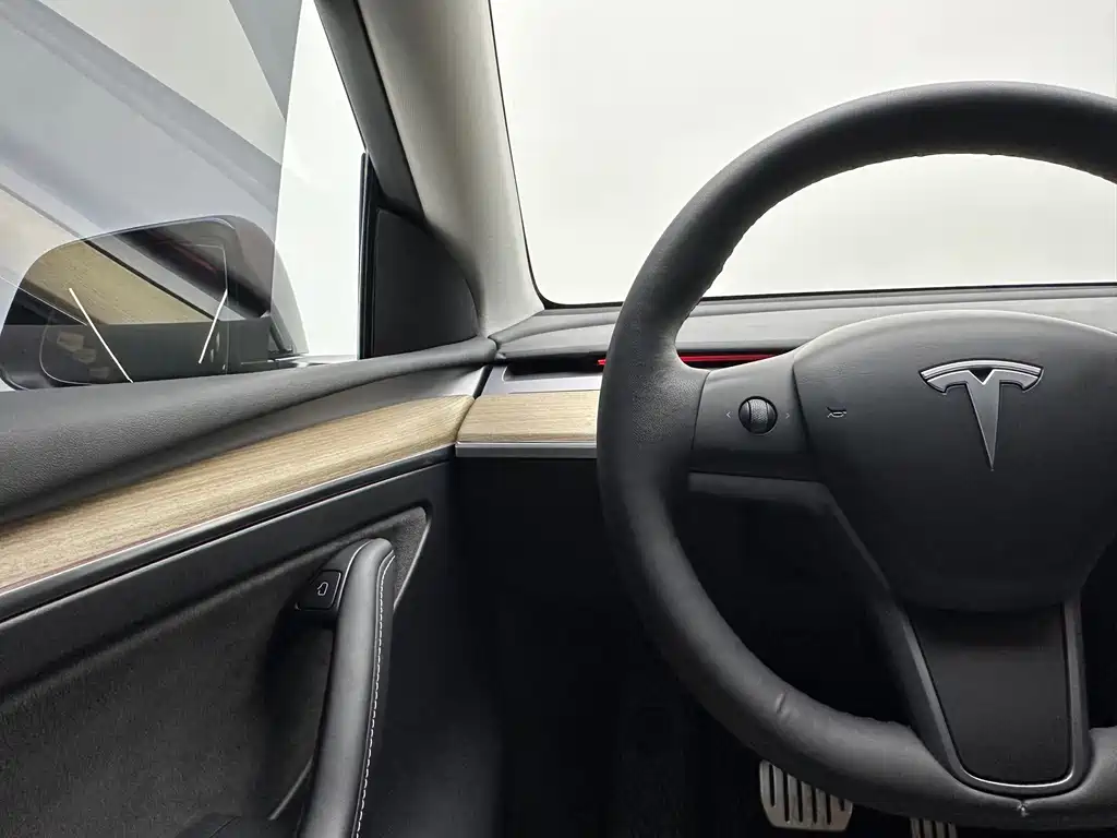 Tesla Model Y — фото 20