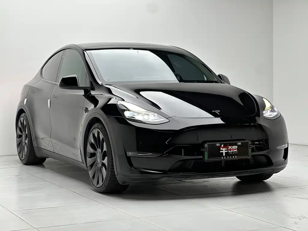 Tesla Model Y — фото 3