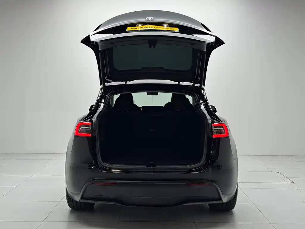 Tesla Model Y — фото 22