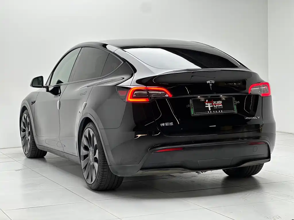 Tesla Model Y — фото 6