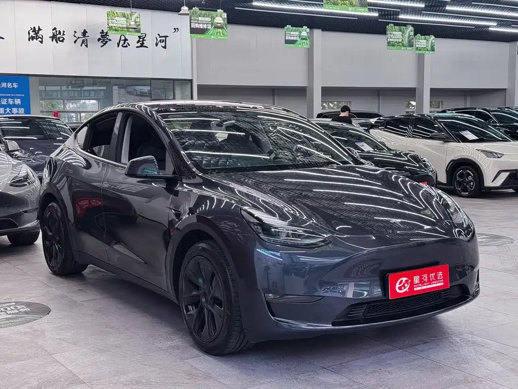 Tesla Model Y — фото 3