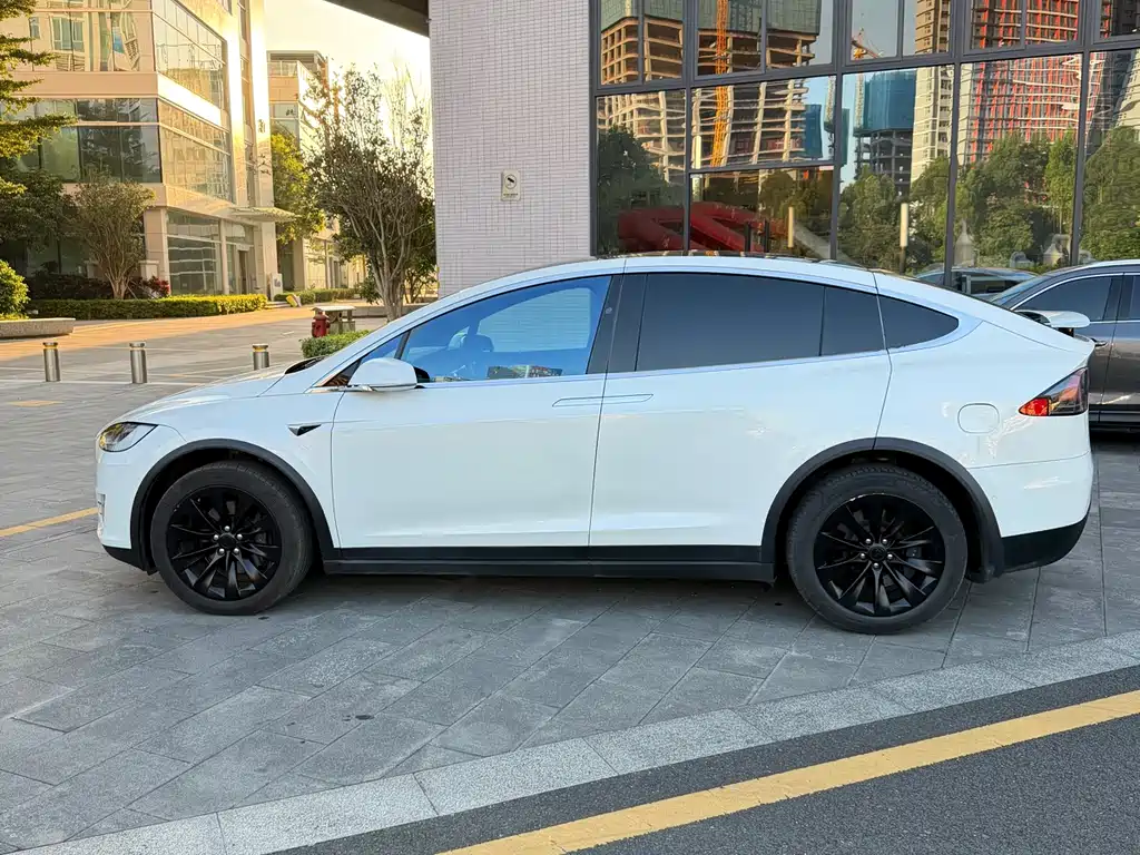 Tesla Model X — фото 4