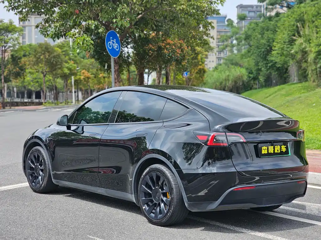 Tesla Model Y — фото 4