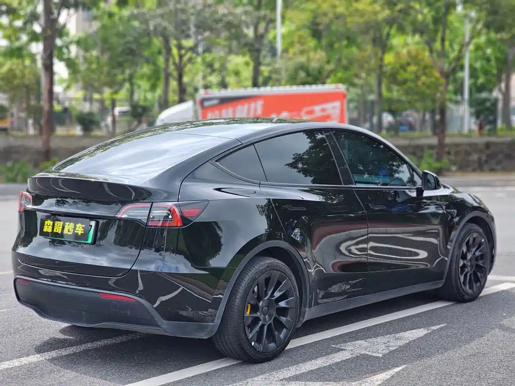 Tesla Model Y — фото 8