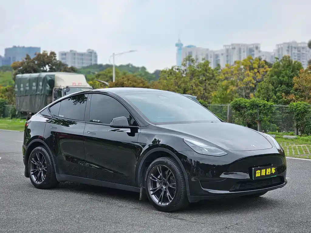 Tesla Model Y — фото 3