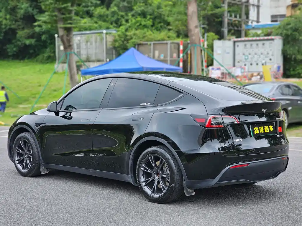 Tesla Model Y — фото 6