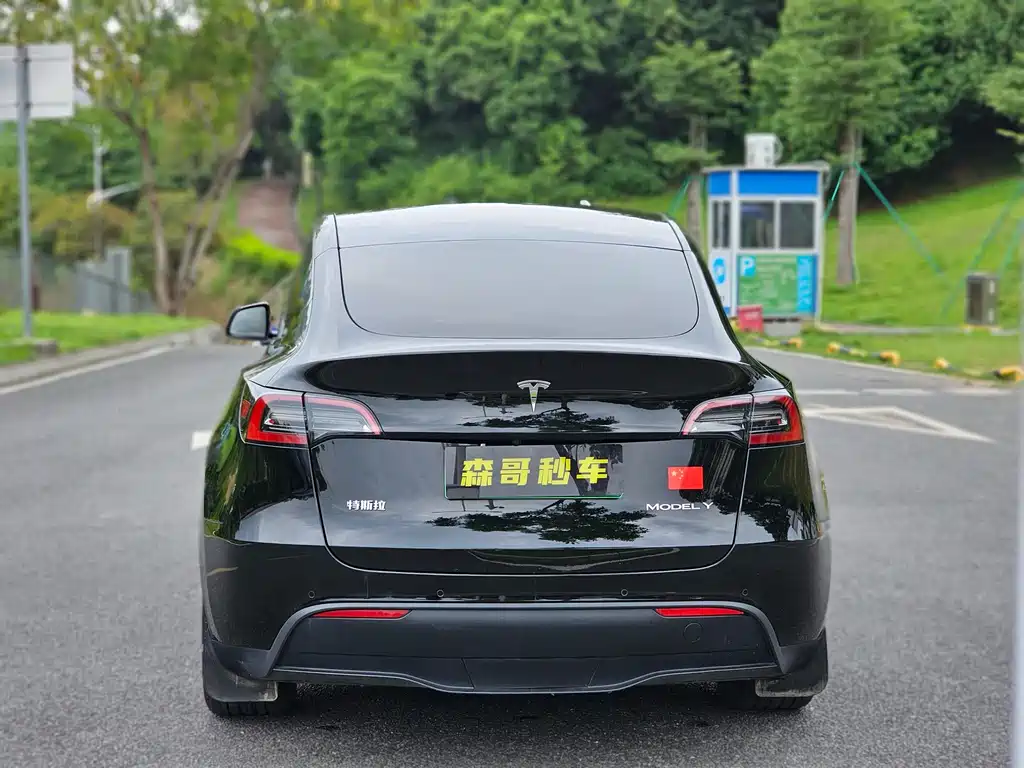 Tesla Model Y — фото 7