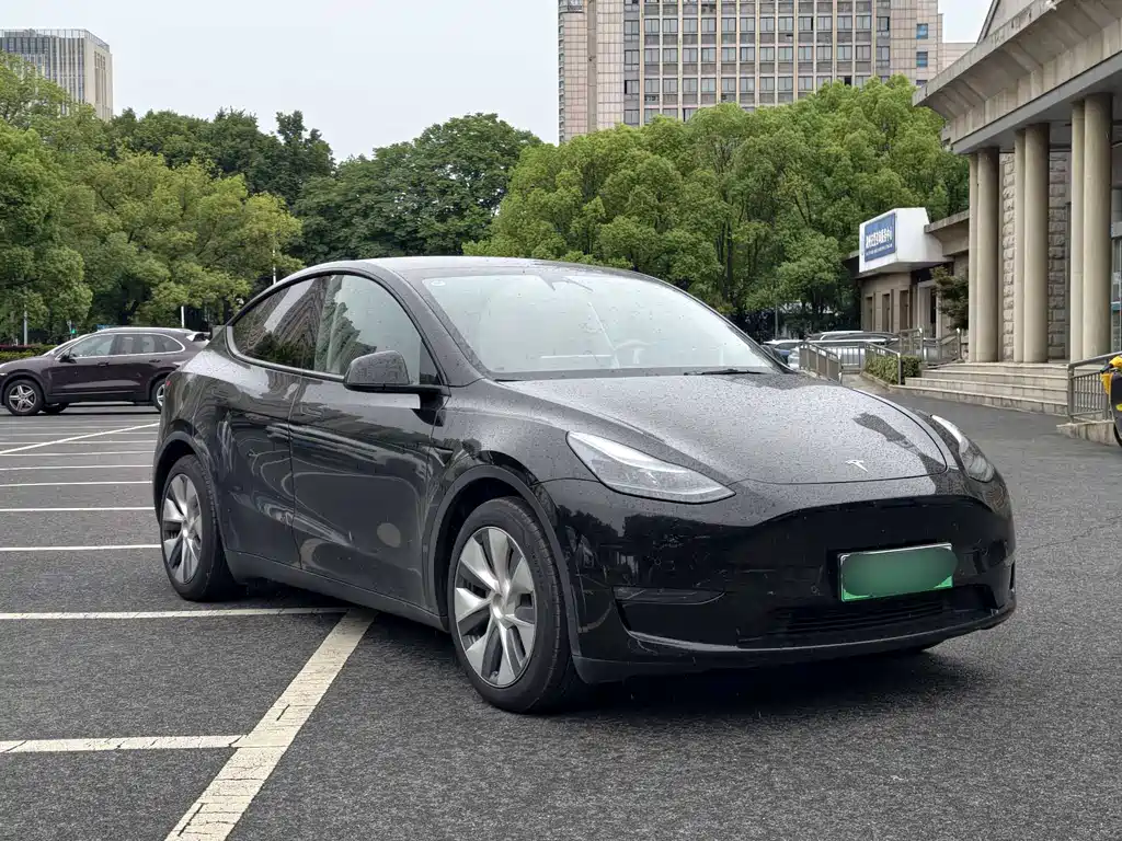Tesla Model Y — фото 3