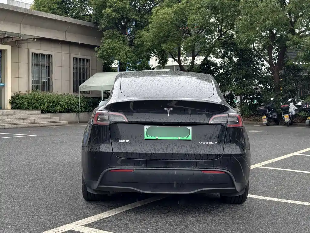 Tesla Model Y — фото 6