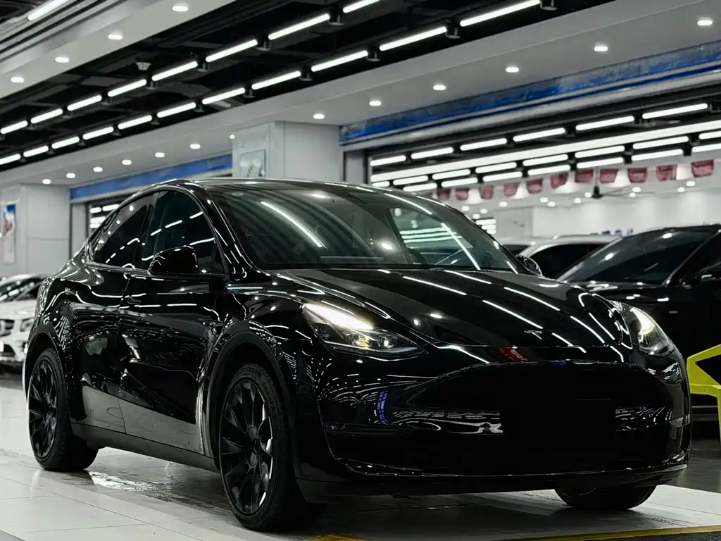 Tesla Model Y — фото 3