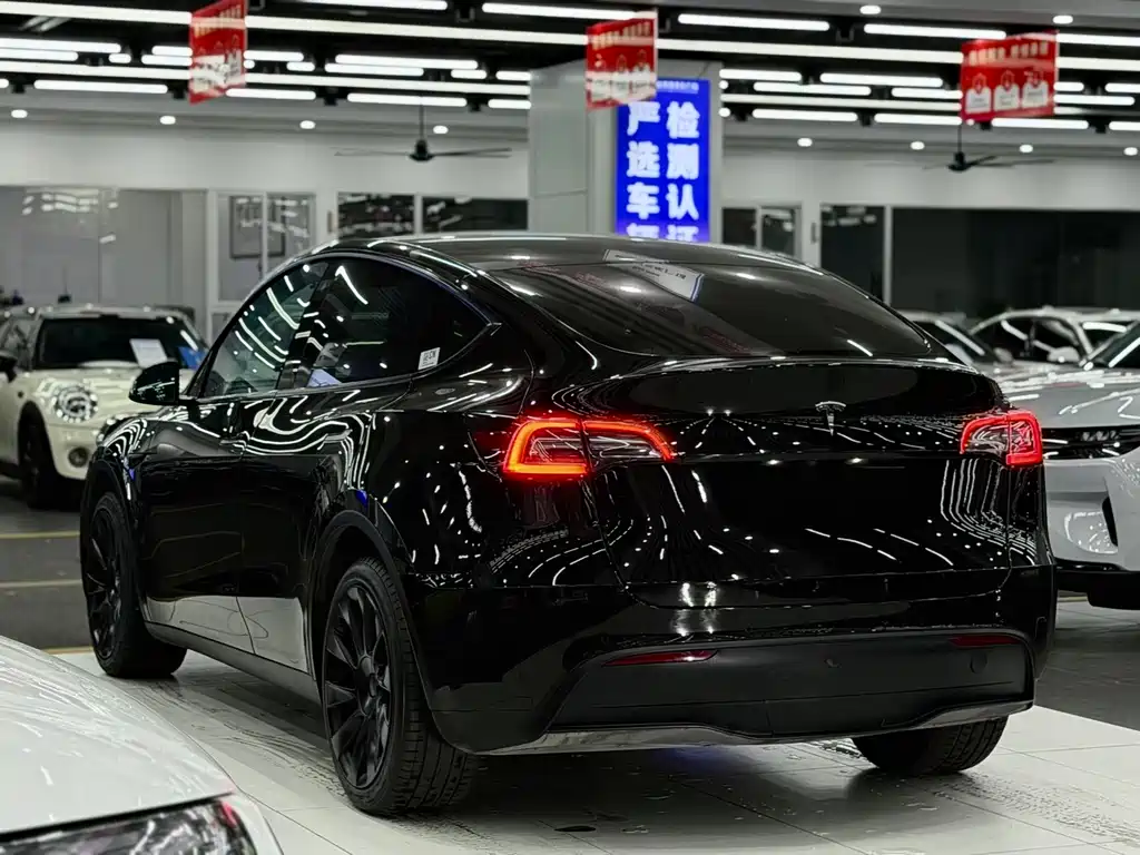 Tesla Model Y — фото 4